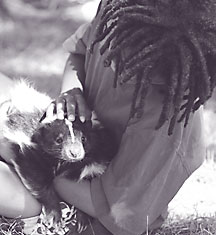 Family-Advent-Day-girl-skunk